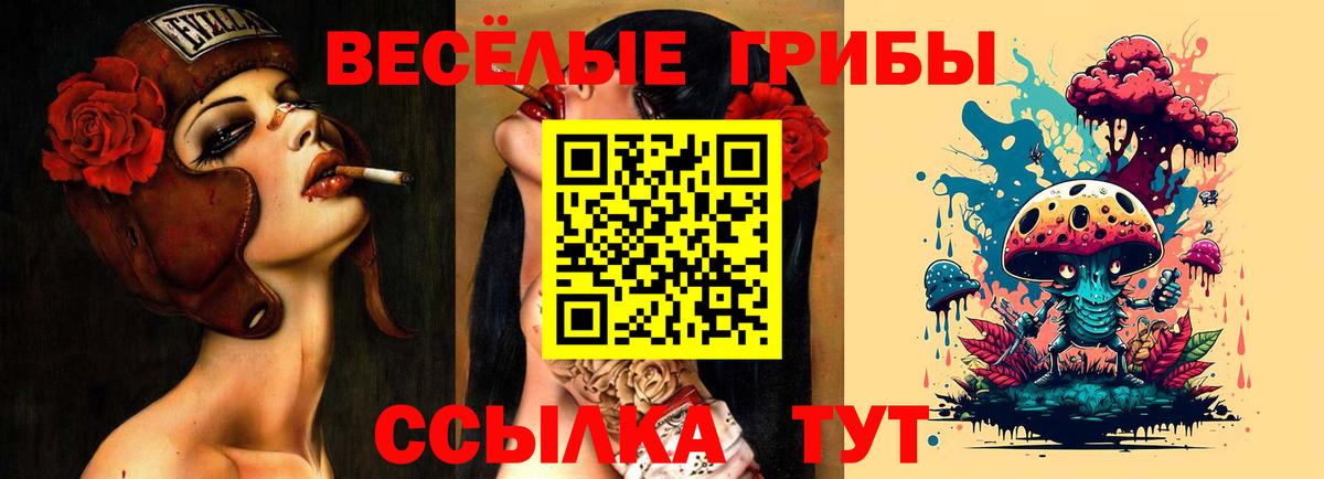 Псилоцибиновые грибы Cubensis  закладки  Благодарный  Вход с VPN 