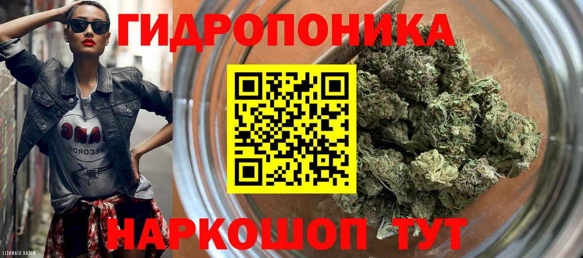 Бошки Шишки тримм Благодарный